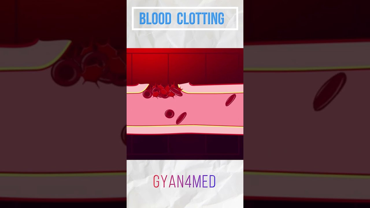 Blood Clotting Factors For Clot Formation