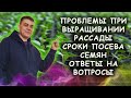 Сроки посева семян на рассаду. Проблемы при выращивании рассады. Ответы на вопросы.