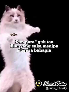 snack video - pura' percaya sama orang yang suka berbohong.