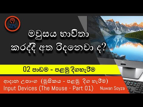 Sinhala Computer Lesson - 02 | Input Device – (The Mouse) | ආදාන උපාන්ග - (මවුසය 1)