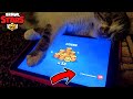 😺THE CAT OPENING THE BEST BOXING!🎁