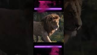 Hakuna Matata Lifestyle