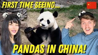 First Time Seeing PANDAS In China! | FENGHUANG 🇨🇳