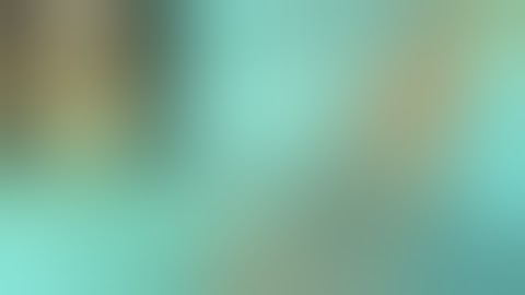 Knee arthroscopy  Portal Placement and examination course