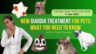 New Treatment for Giardia for Dogs & Cats with Holistic Vet  Dr. Katie Woodley