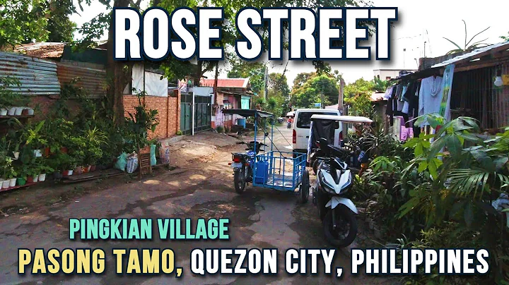 ROSE STREET In Pingkian Village, Pasong Tamo, Quez...