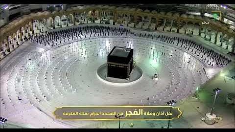 تلاوة مباركة متنوعة من سورة الممتحنة للشيخ د. ياسر الدوسري - فجر الأربعاء 1-5-1442هـ