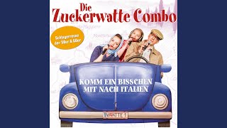 Video thumbnail of "Die Zuckerwatte Combo - Danke schön, es war bezaubernd"