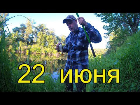 Рыбалка на реке, разведка новых мест.Ловля плотвы и голавлей.