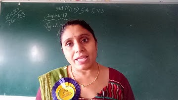 STD 4 ENGLISH MEDIUM SUB E S  CH 17 TEJAL IN AHMEDABAD NCERT