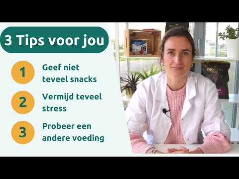 Video: Wat betekent brokjes?