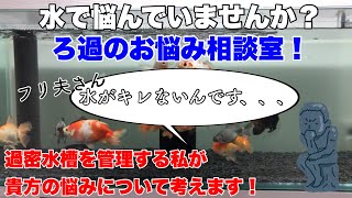 【ろ過のお悩み相談室】貴方の水の悩みはなんですか？どうすればいいか私が代わりに考えてみましょう！熱帯魚AQUARIUMアクアリウム