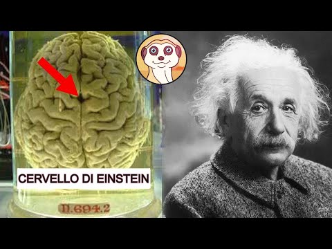 Video: Quando è stato sviluppato lo xilofono?