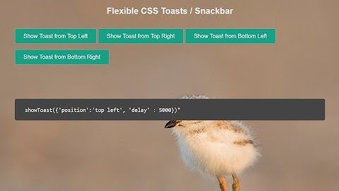 Creating Flexible CSS Toast / Snackbar in pure CSS & JS !