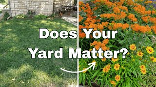 How One Yard Can Help Wildlife | Native Plants Made Simple
