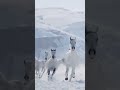 Щ Щ ЩЉЩ ШЄШґШ Ш Щ Щѓ ШЁШ ШЇ ШґЩ Щ Щ Ш Щ ЩЉ ЩЉЩЃШ Ш Щ ШЁЩ ШЇ рџ ❠‍рџ Щ Щ ЩЉЩ ШЄШґШ Ш Щ Щѓ ШЁШ ШЇ ШґЩ Щ Щ Ш Щ ЩЉ ЩЉЩЃШ Ш Щ ШЁЩ ШЇ рџ ❠‍рџ