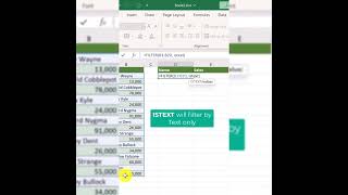 MS EXCEL -- IsText and IsNumber use case