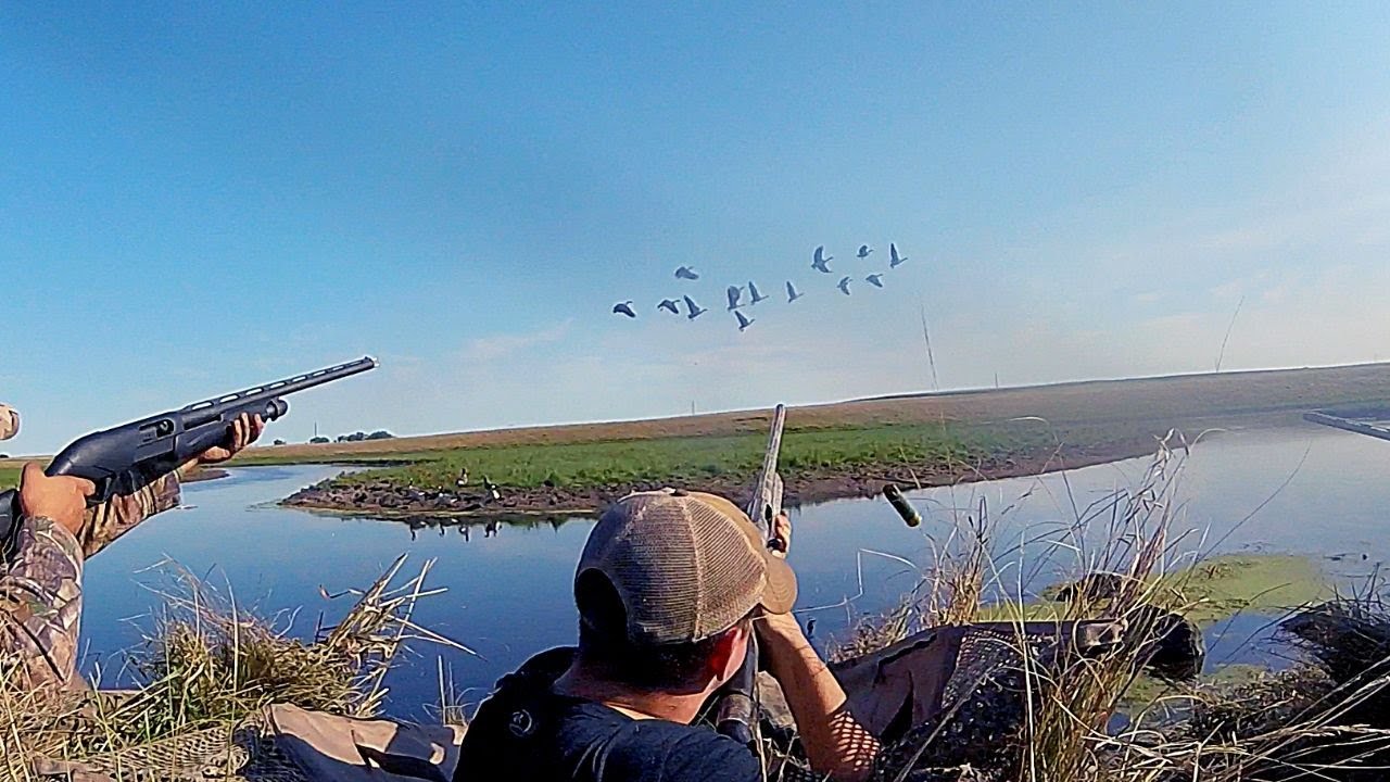 South Dakota Early Season Goose Hunt YouTube