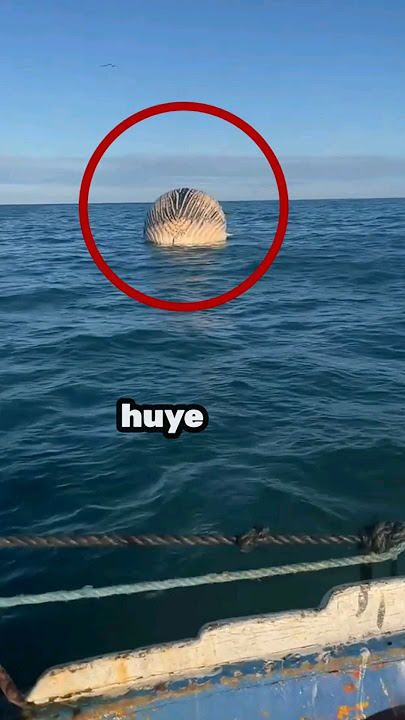Si ves esto huye 😧