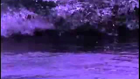 Pitter Patter Goes My Heart