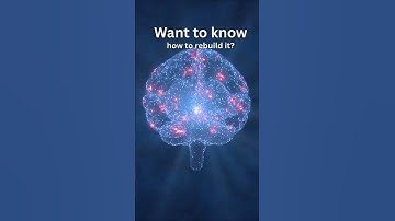 Working Memory and Addiction Recovery