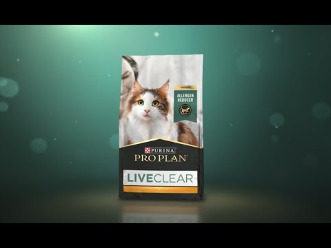 Video: Purina Memperkenalkan Makanan Kucing Revolusioner Yang Mengurangi Alergen Kucing