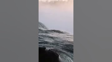 القارئ احمد خليل شاهين