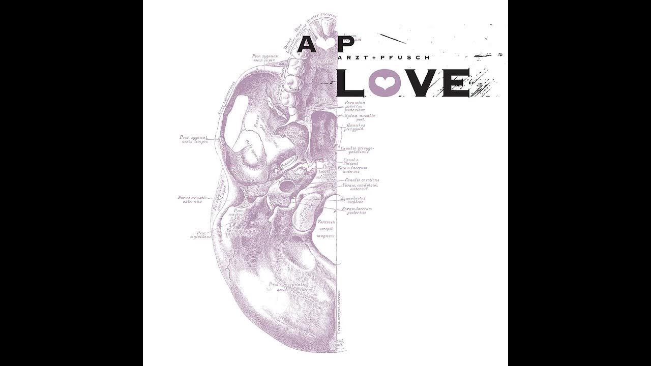 Arzt+Pfusch- Boneloc (Virgin Experience) Arzt+Pfusch- Boneloc (Virgin Experience)