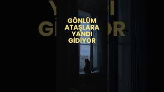 Gönlüm Ataşlara Yandı Gidiyor - Anatolian Psychedelic Cover - Kedi Fm -