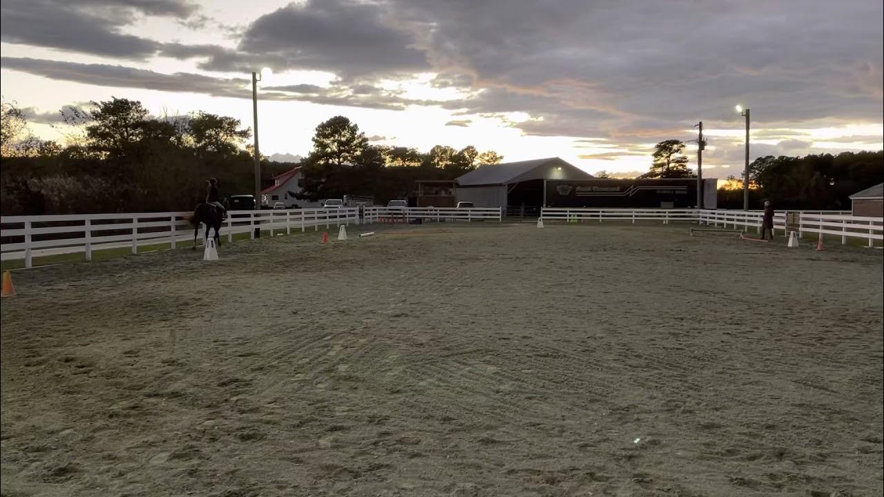 Shake it off dressage usdf intro test A YouTube