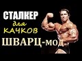 СТАЛКЕР для КАЧКОВ!!! ШВАРЦ-Мод