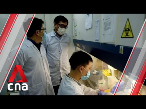 Video: Japanese Scientists Create Cancer-killing Cells