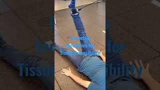 Hip - Mobility - Hamstring Stretch via strength training (Eccentric Isometrics)
