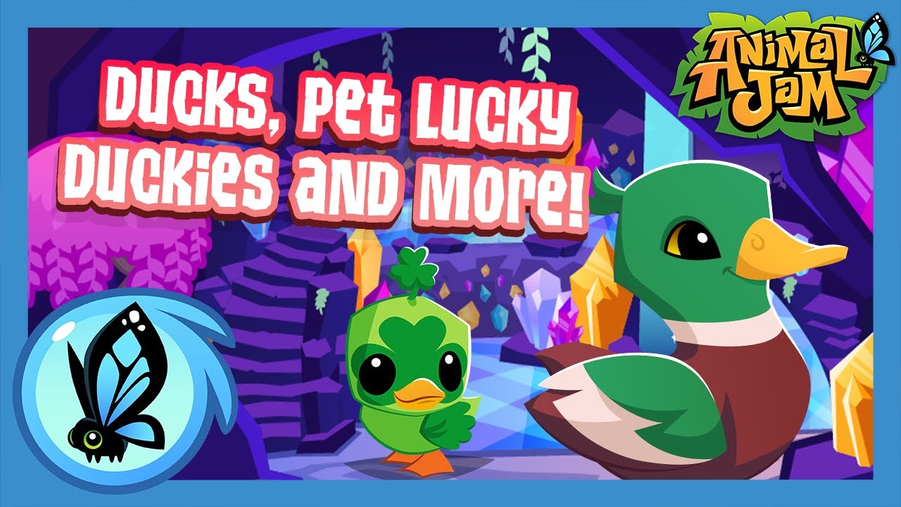 Ducks, Pet Lucky Duckies and more! | Animal Jam