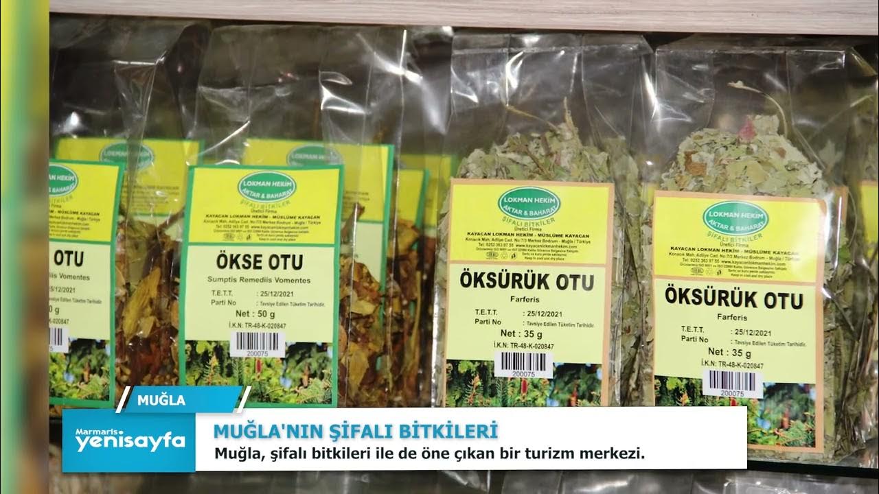 MUĞLA'NIN ŞİFALI BİTKİLERİ