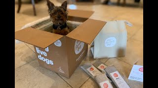 The Farmers Dog Review & Unboxing