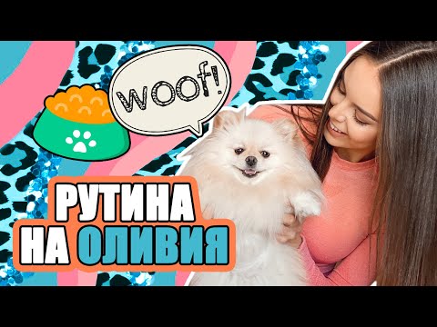 РУТИНА НА ПОМЕРАН ОЛИВИЯ + GIVEAWAY | ♡