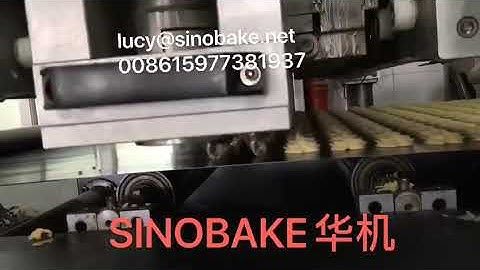 SINOBAKE HIGH PRODUCTIVITY DOUBLE LANE BUTTER COOKIE MAKING MACHINE