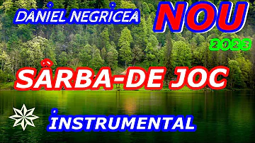 █▬█ █ ▀█▀ -2023-- SARBA DE JOC --DANIEL NEGRICEA [DOMN PROFESOR DANCIU]