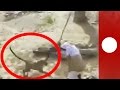Man vs. leopard: Wild animal attack in India village