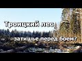 Троицкий лес - затишье перед боем? Два дня без бензопил. Уничтожены десятки деревьев! И.Стрельцов