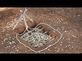 Make easy rope trap in the forest to catch wild chicken working very well