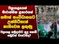 ඊශ්රායල හමුදාවට සුදු කොඩි නඩුවක් වැටෙයිද?