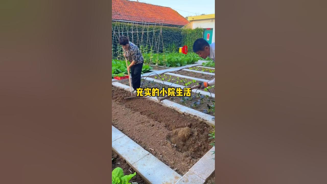 Episode 134 Many people pursue a pastoral life not on a whim, but to