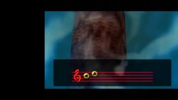 Snowhead song storage setup