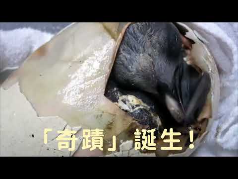 大家有冇見證過「奇蹟」呀？✨ Have you ever witnessed a “Miracle”? ✨