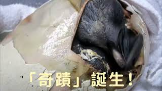 大家有冇見證過「奇蹟」呀？✨ Have you ever witnessed a “Miracle”? ✨