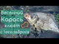 Пробуждение Весеннего Карася,  клюёт с 1ого заброса