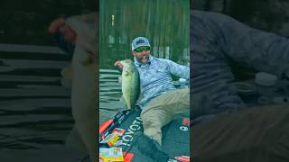 Giant Bass On A Free Rig?