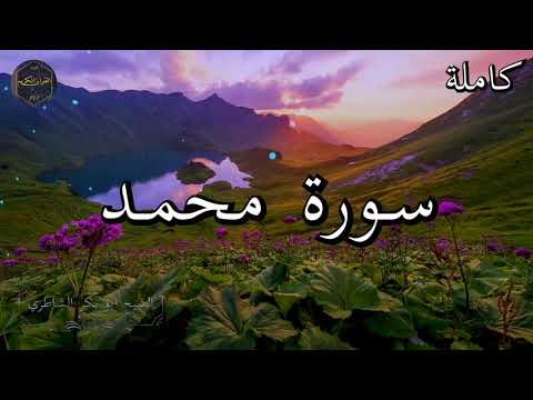 سورة محمد كاملة بصوت جميل جدا الشيخ أبو بكر الشاطري